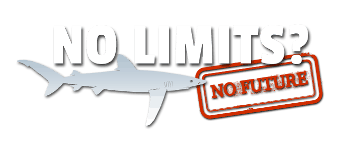 no limits white detail