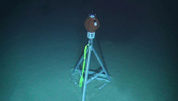 Ocean data collection using Sonarydne's Fetch. 