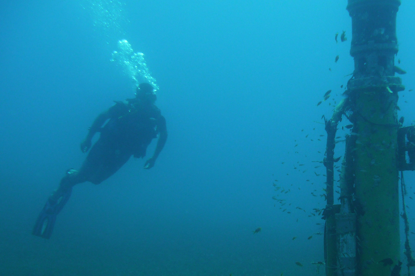 Military diving Sonardyne