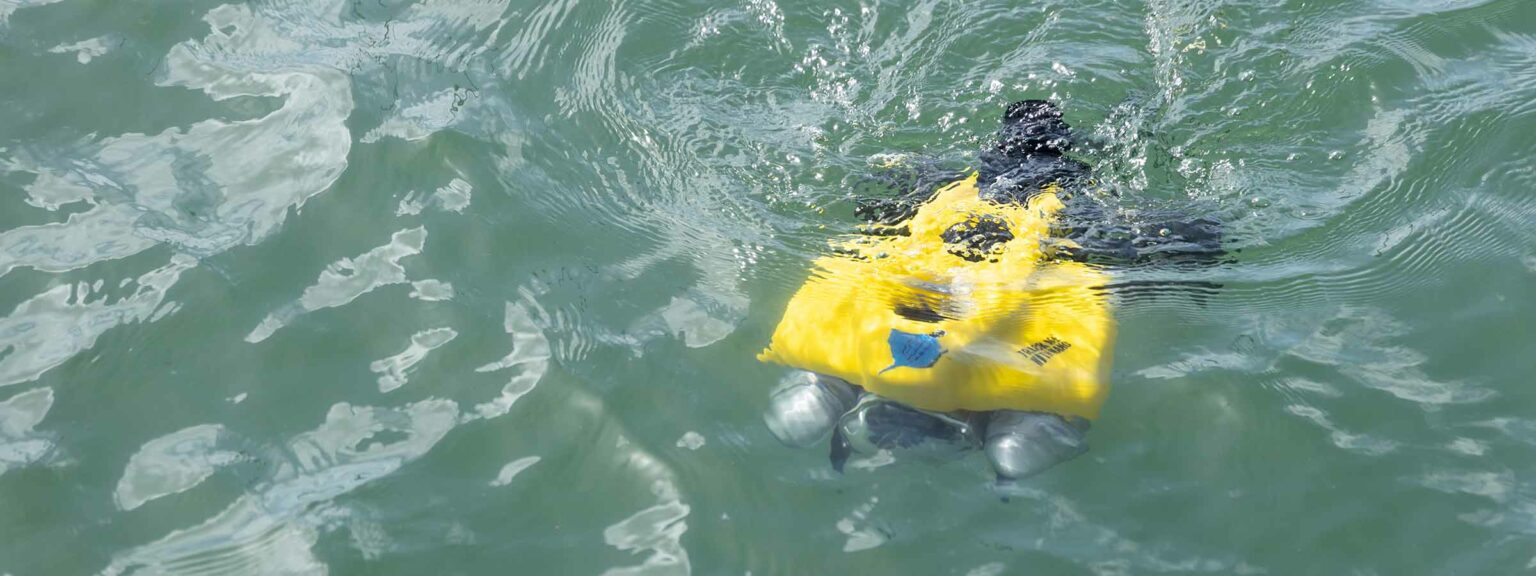 Remotely Operated Vehicles Sonardyne