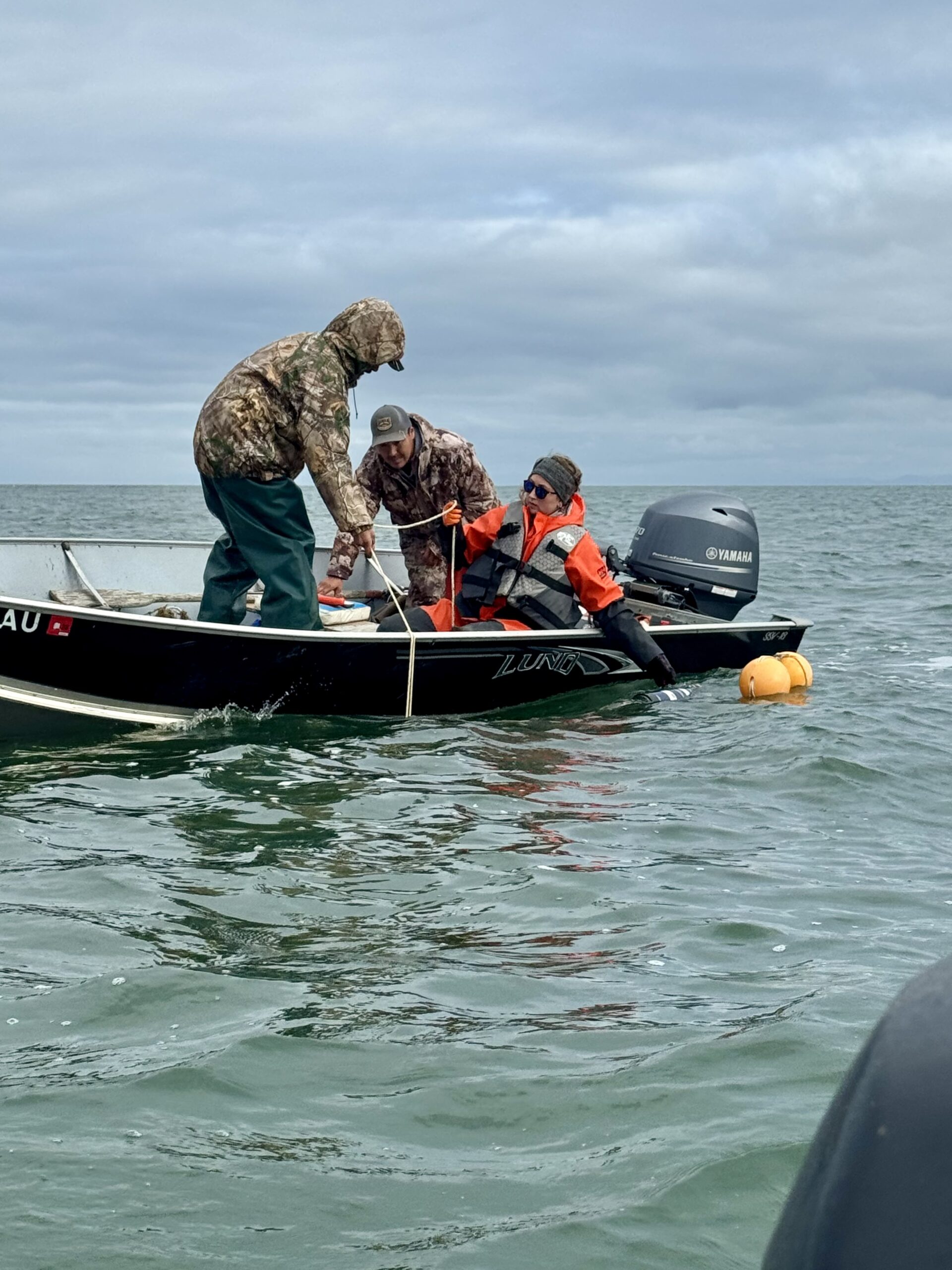 Making critical connections: Powering ice‑seal science in Alaska 