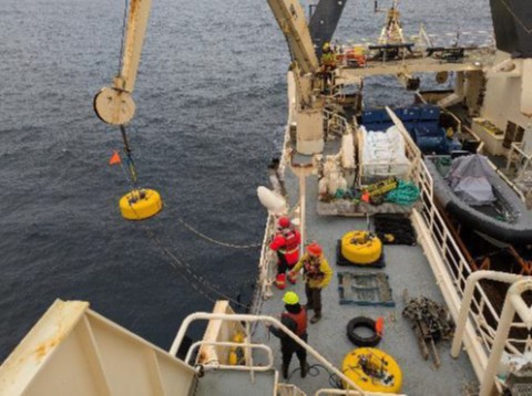 Operations in Baffin Bay and Labrador. Photos from NFSI.
