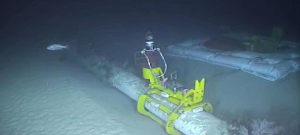 Subsea flowline monitoring for asset integrity